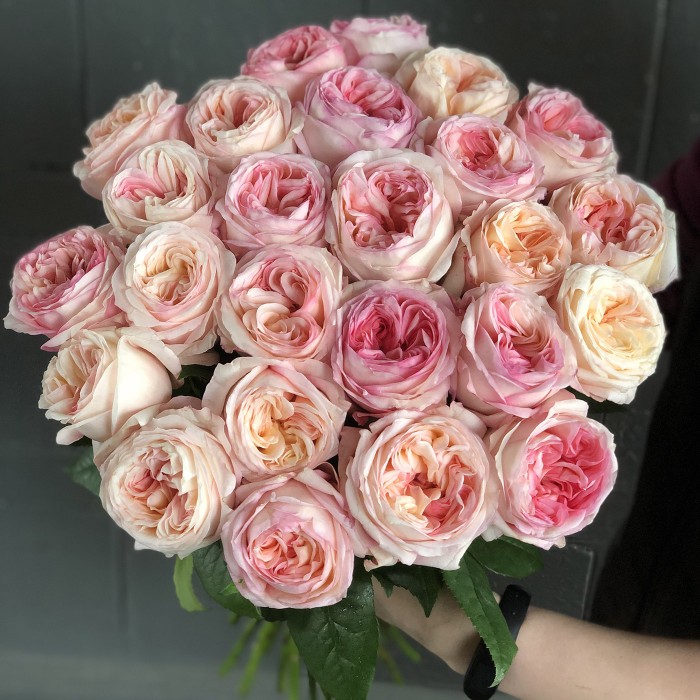 Ароматная Роза Анжи Романтик