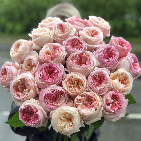 Ароматная Роза Анжи Романтик