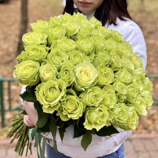 51 роза зеленая