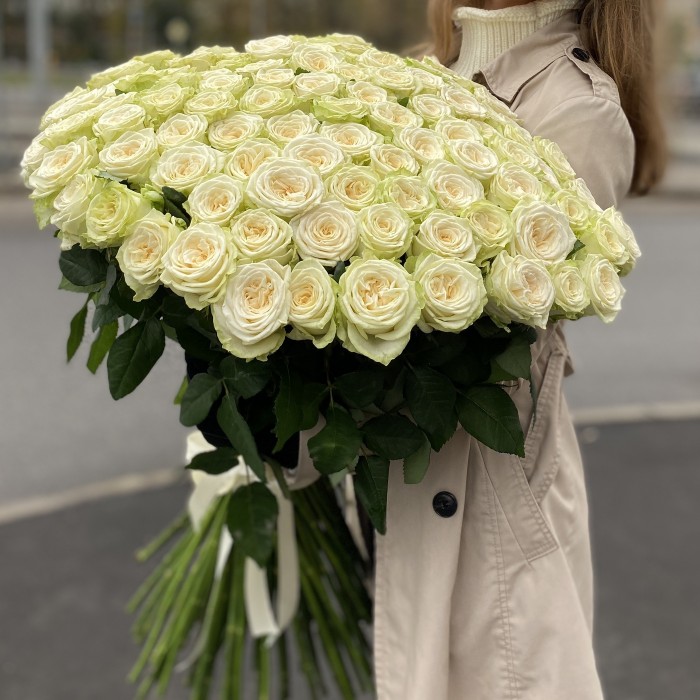 101 длинная белая роза Джувена