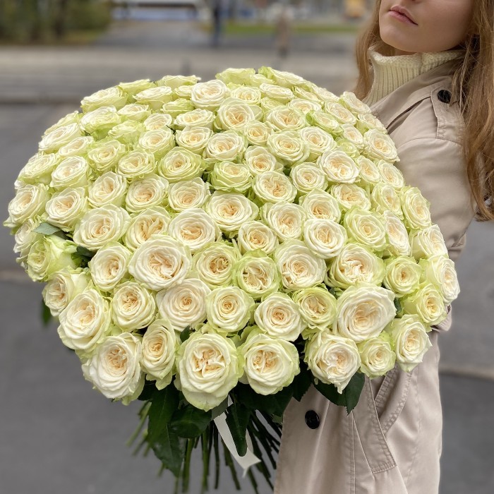 101 длинная белая роза Джувена