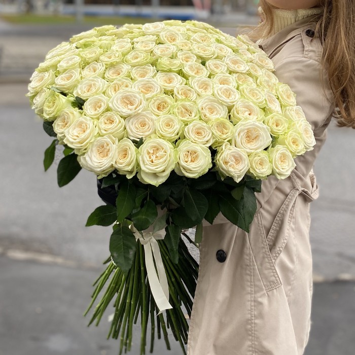 101 длинная белая роза Джувена