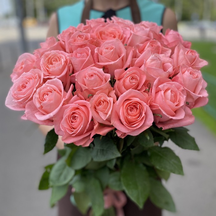 Роза Фаворита 60 см