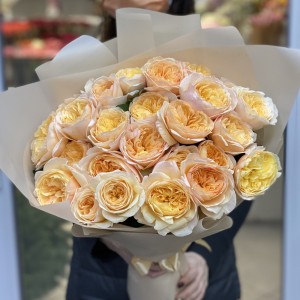 25 кремовых пионовидных роз Джульетт
