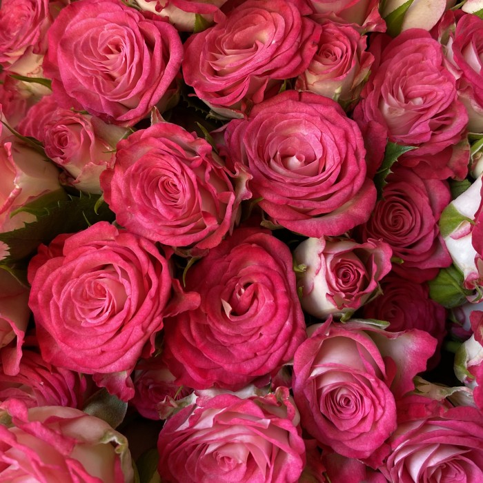 Букет из кустовых роз Haley Rose