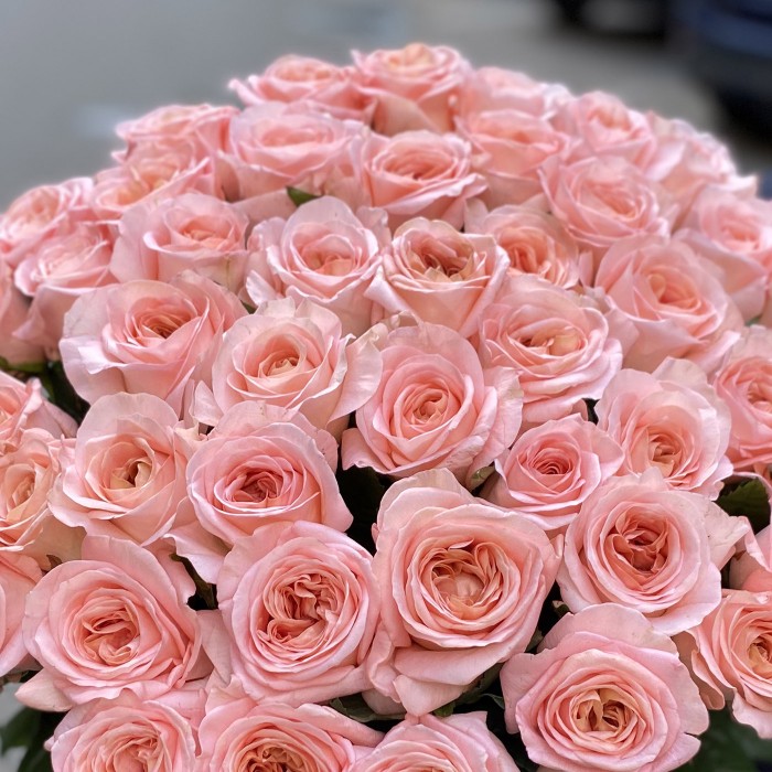 51 розовая роза Лондон Ай