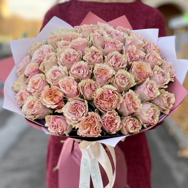 51 роза Марбелла (Marbella)