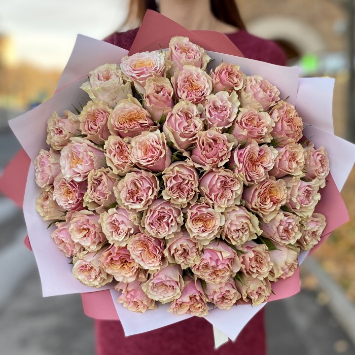 51 роза Марбелла (Marbella)