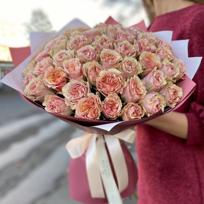 51 роза Марбелла (Marbella)