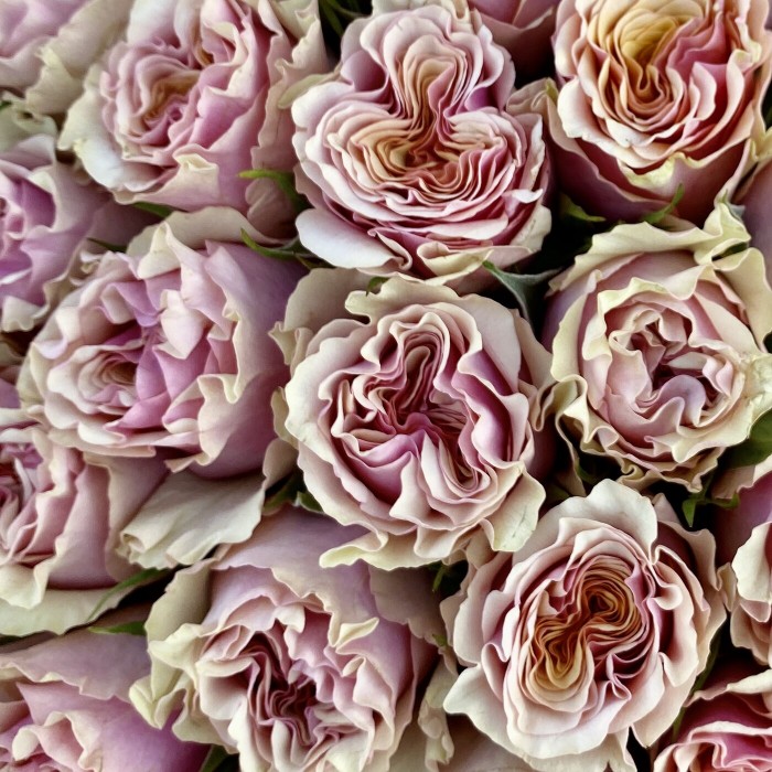 Букет Марбелла