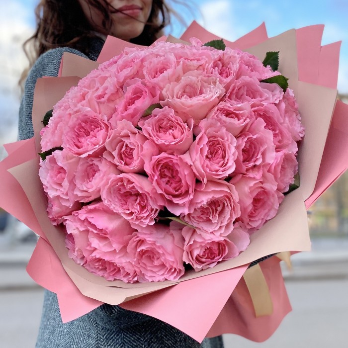 51 пионовидная розовая роза Mayra’s Pink