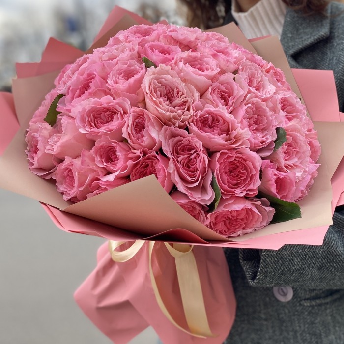 51 пионовидная розовая роза Mayra’s Pink