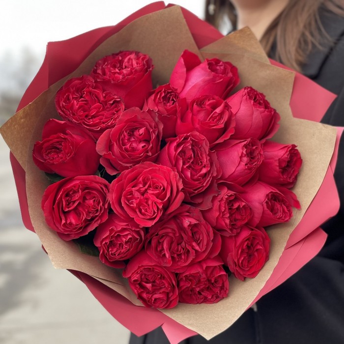 21 красная пионовидная роза Роуж Рояль
