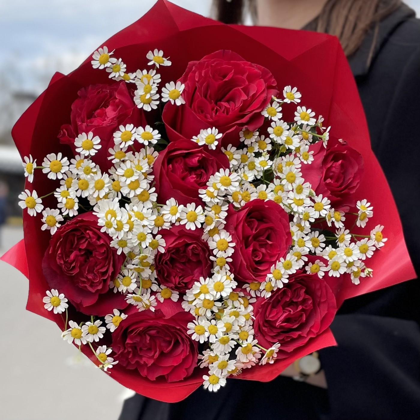 Шикарные букеты с красных пионовидных роз с ромашками на 14 февраля