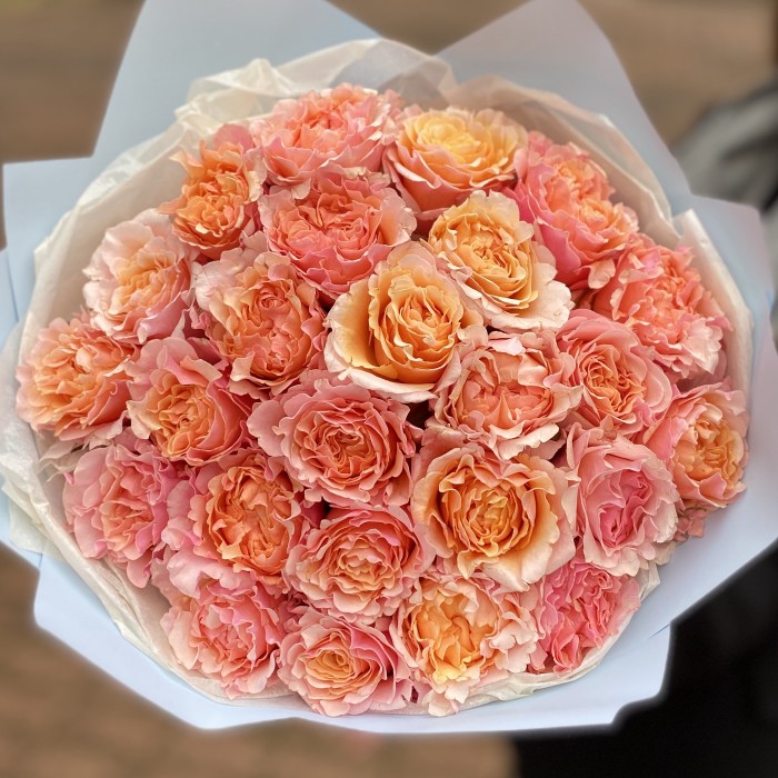 Персиковые пионовидные розы