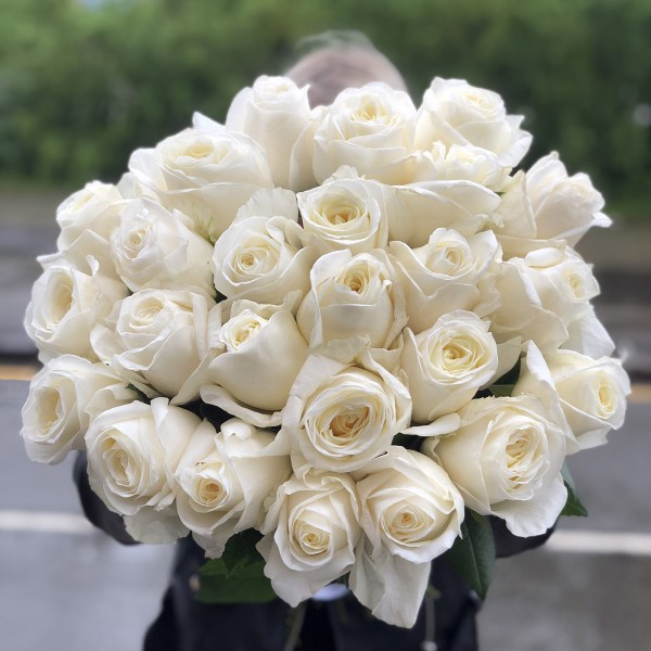 Ароматная Роза Норма Джин