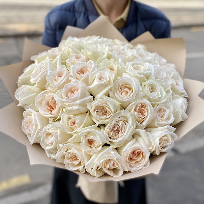 51 ароматная роза White Ohara