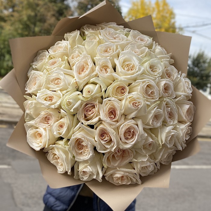51 ароматная роза White Ohara