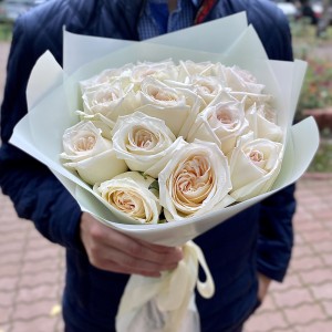 Ароматные розы White Ohara