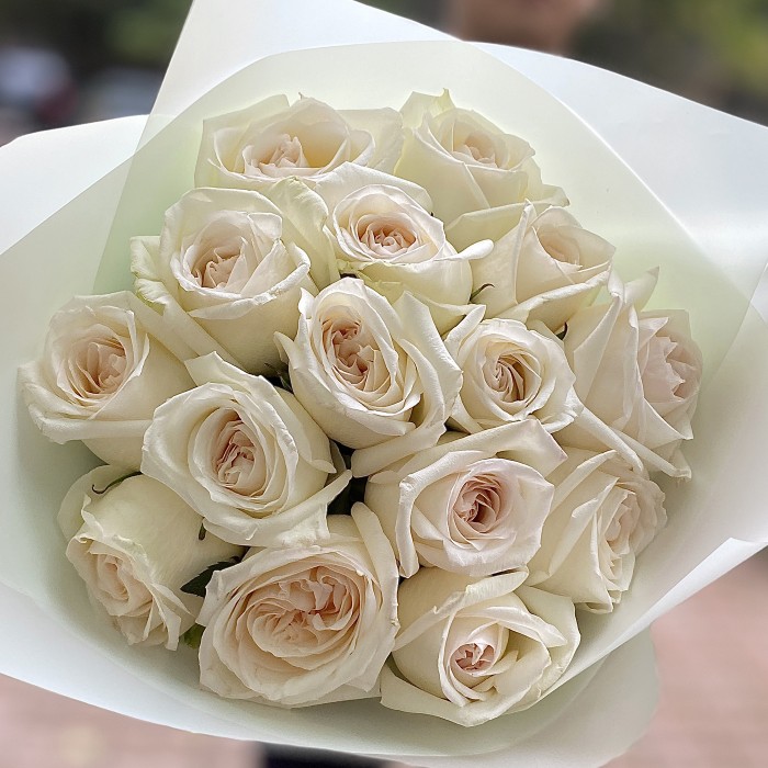 Ароматные розы White Ohara