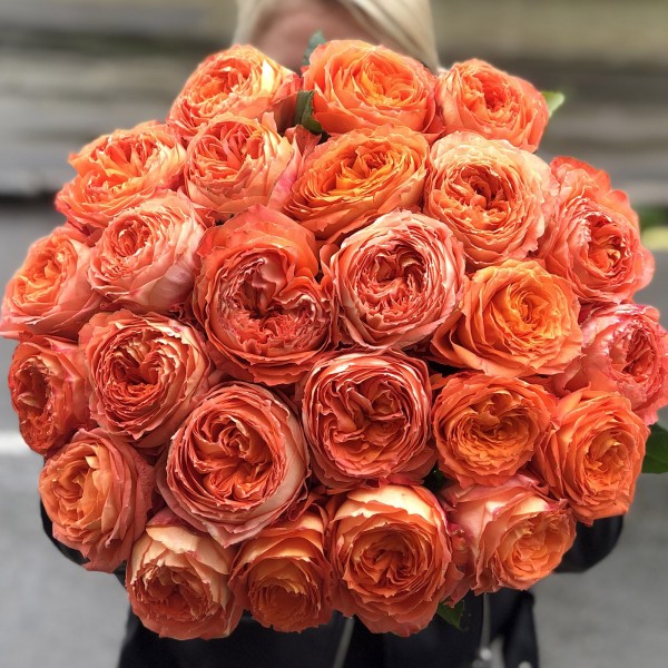 Роза Оранж Романтик