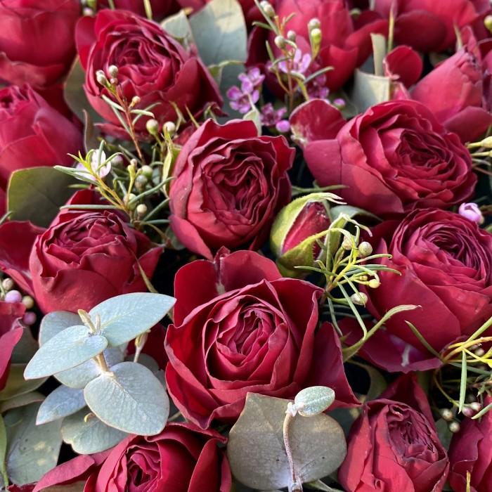 Пионовидные розы с эвкалиптом в коробке