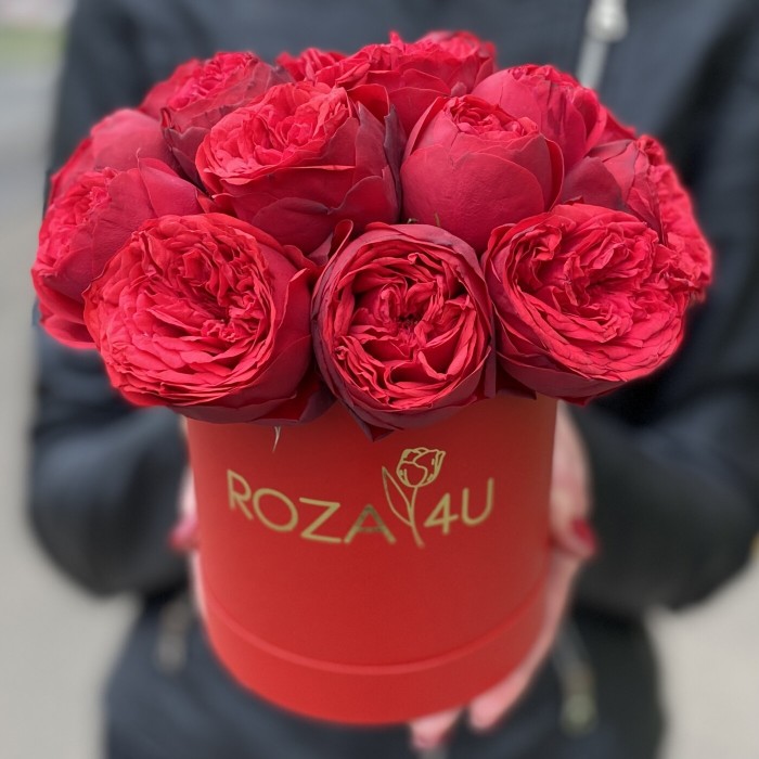 Пионовидные розы Ред Пиано в коробке