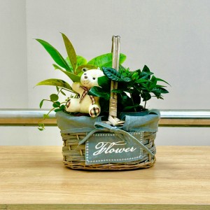 Корзина с гарденией и медвежонком