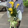 Калла в горшке микс