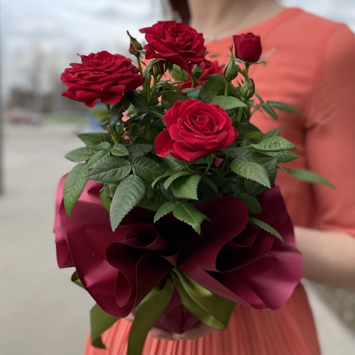 Роза в горшке микс