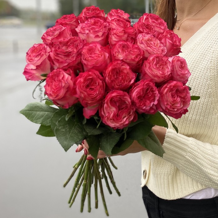 Пионовидная роза Энчантмент