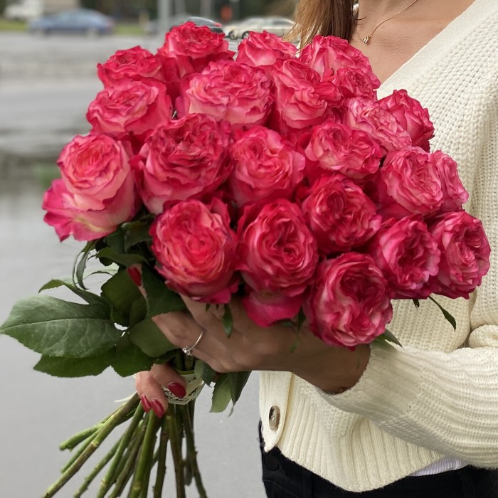 Пионовидная роза Энчантмент