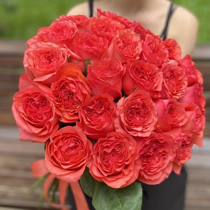 Пионовидная роза Корал Рива