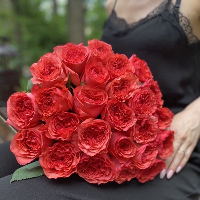 Пионовидная роза Корал Рива