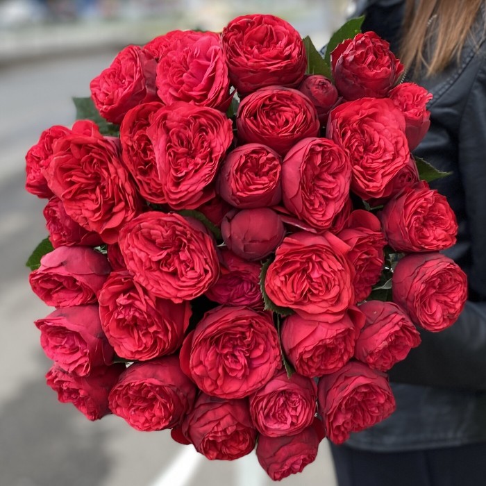 Пионовидная роза Ред Пиано