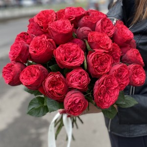 Кустовая Пионовидная роза Ред Пиано 50 см