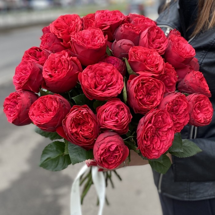 Пионовидная роза Ред Пиано