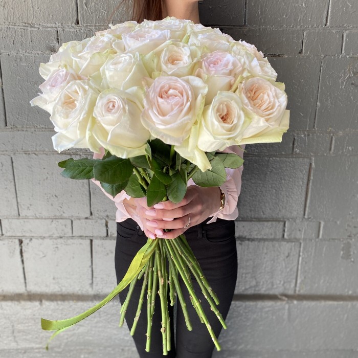 Пионовидная роза White Ohara