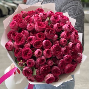 25 кустовых пионовидных роз Роял Трендсеттер