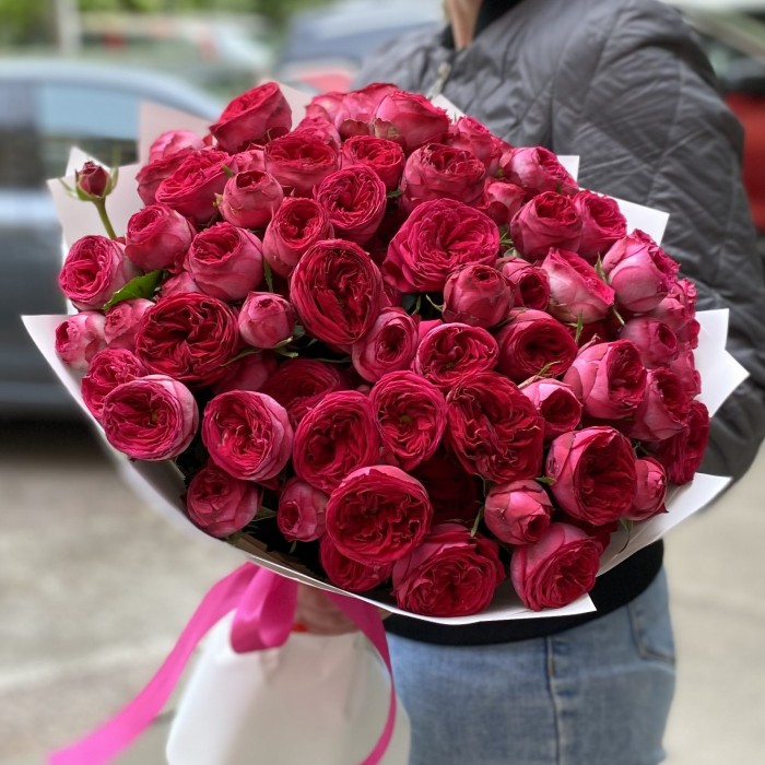 25 кустовых пионовидных роз Роял Трендсеттер