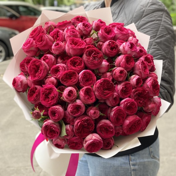 25 кустовых пионовидных роз Роял Трендсеттер 50 см