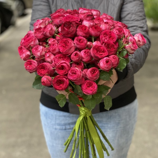 Кустовая пионовидная роза Роял Трендсеттер 50 см