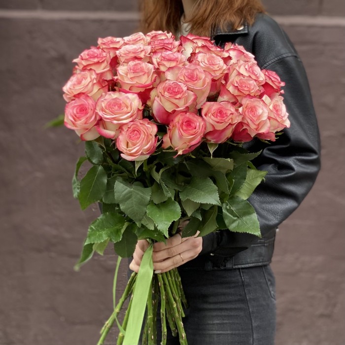 Роза Палома бело-розовая