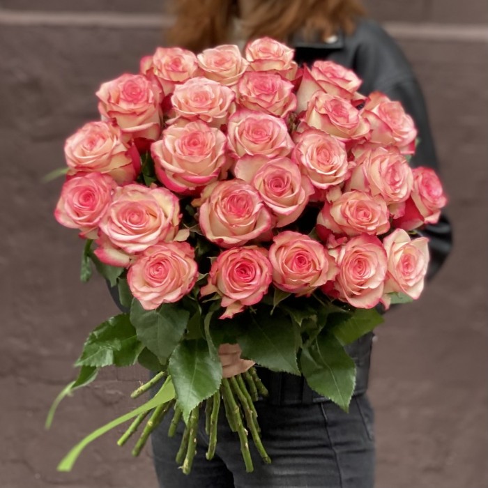 Роза Палома бело-розовая