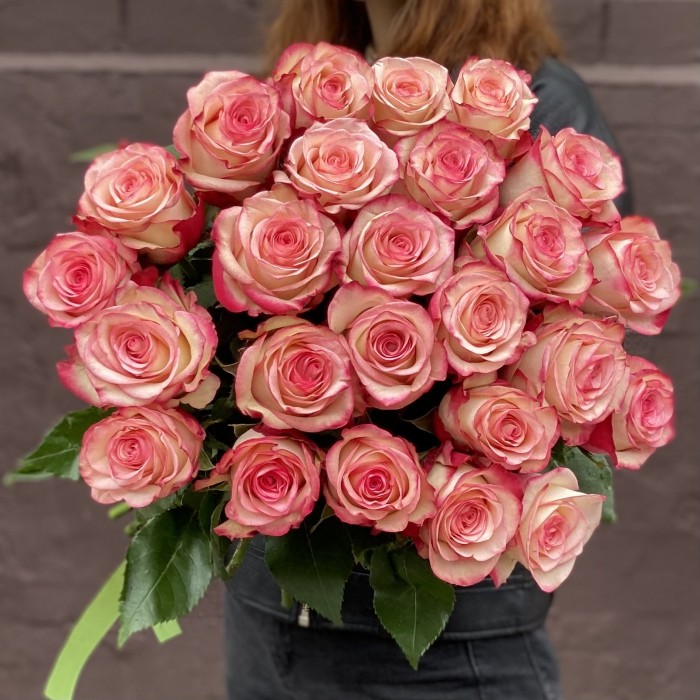 Роза Палома бело-розовая