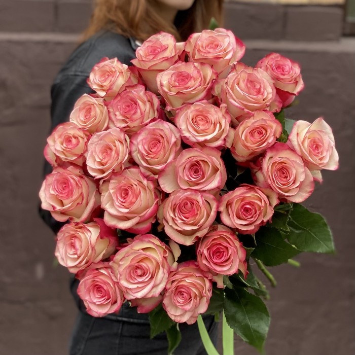 Роза Палома бело-розовая