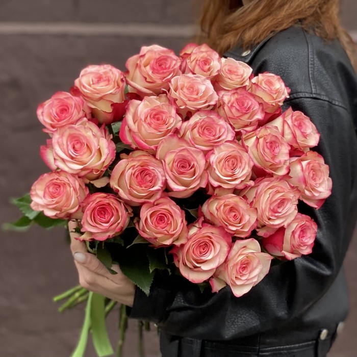 Роза Палома бело-розовая