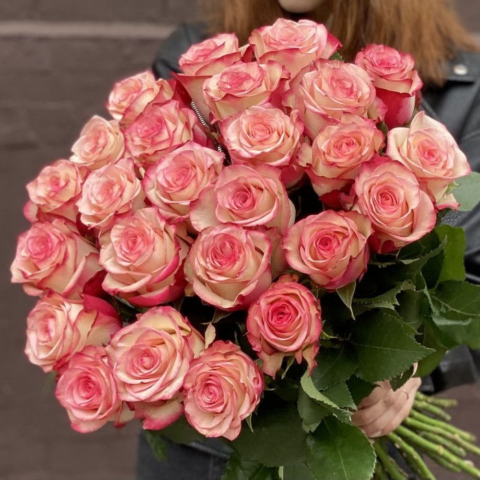 Роза Палома бело-розовая