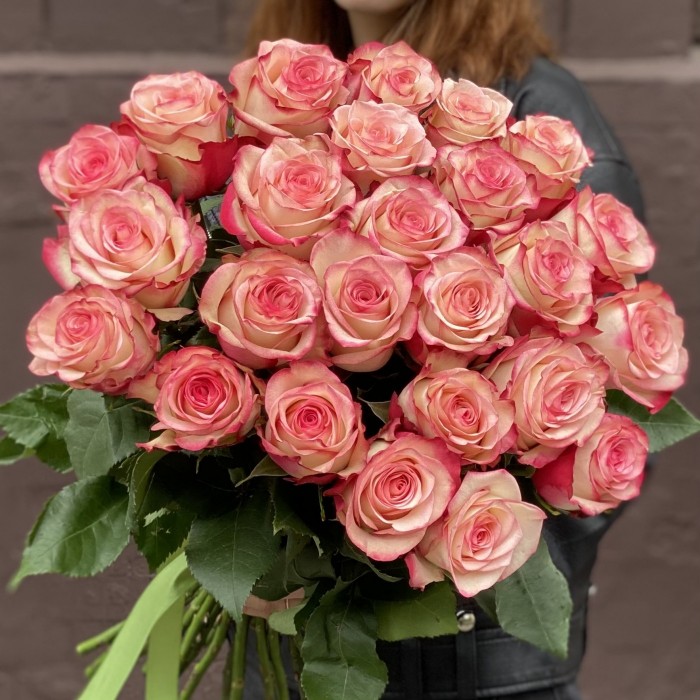 Роза Палома бело-розовая