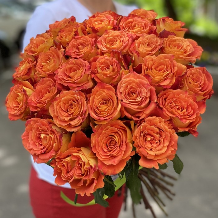 Оранжевая роза Силантой